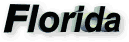 Florida Tag