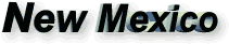 New Mexico tag