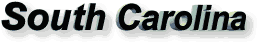 South Carolina tag