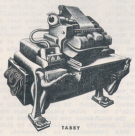 drawing of tabby