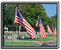 American flags