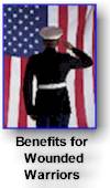 soldier saluting flag