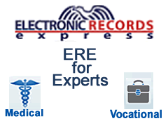 Electronic Experts