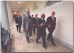 Bush walking with group of men