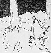 drawing of man collecting maple sap