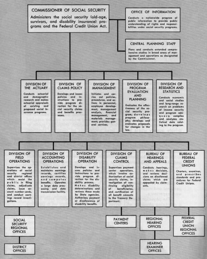 Credit Union Org Chart