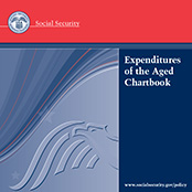 publication cover