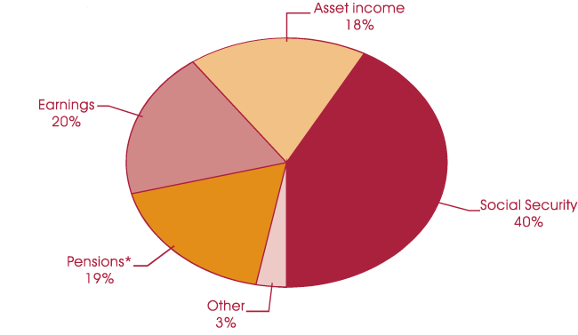 Pie chart described in previous paragraph.