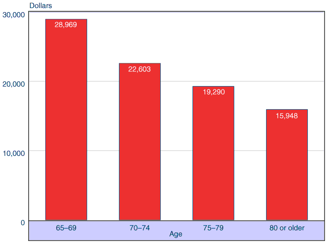 Bar chart showing median income by age: age 65 to 69, $28,969; age 70 to 74, $22,603; age 75 to 79, $19,290; and age 80 or older, $15,948.