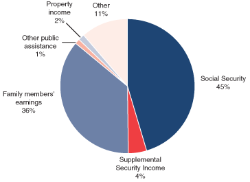 Social Security Pie Chart