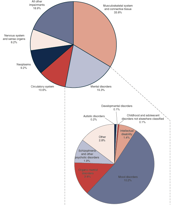 Two pie charts. The first pie has 6 slices described in the previous paragraph. The second pie breaks out the mental disorders category and these values are provided in the table below.