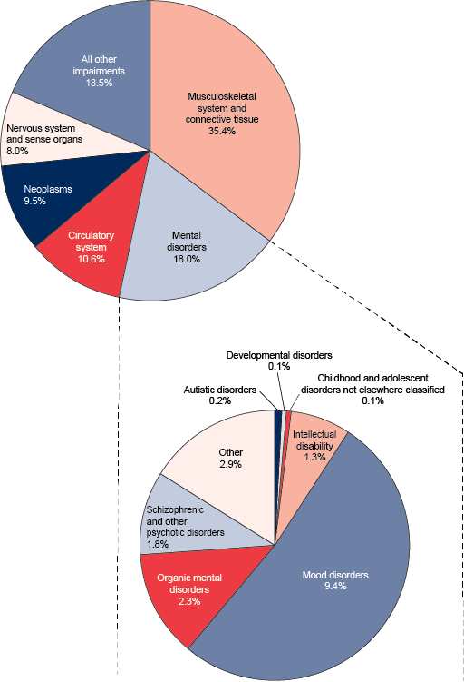 Two pie charts. The first pie has 6 slices described in the previous paragraph. The second pie breaks out the mental disorders category and these values are provided in the table below.